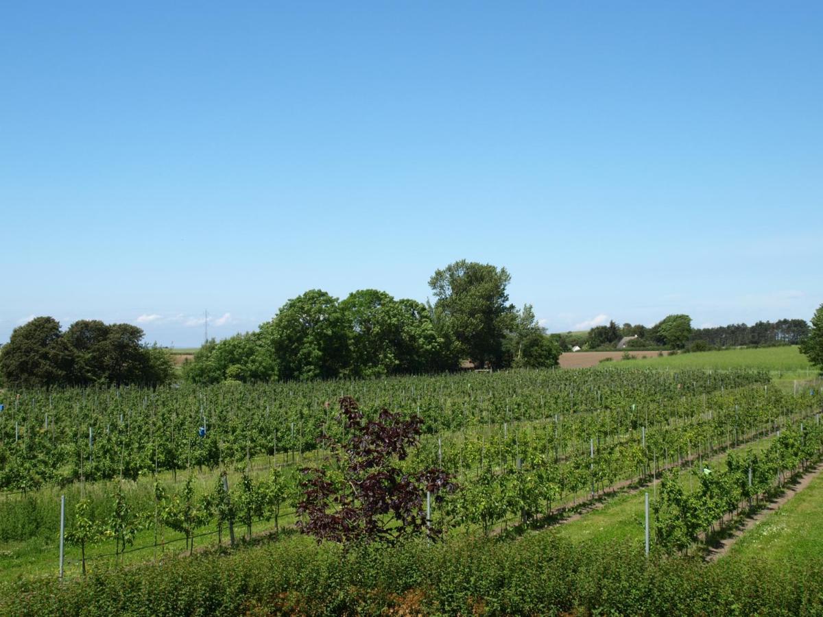 Aeblehaven Bed and Breakfast Toftebjerg Εξωτερικό φωτογραφία